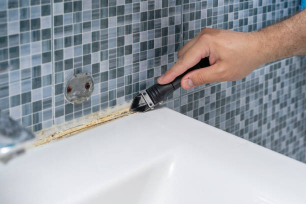 Best Emergency Mold Removal  in Waterloo, WI