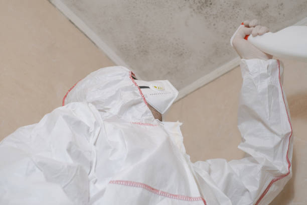 Best Toxic Mold Removal  in Waterloo, WI