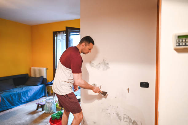 Best Commercial Mold Removal  in Waterloo, WI